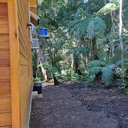 Cabana Privativa Na Serra Gaucha - Vale Das Fadas São Francisco de Paula Exterior photo